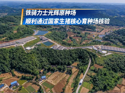 喜报!铁骑力士再获国家级荣誉!已连续四次通过国家级核验!