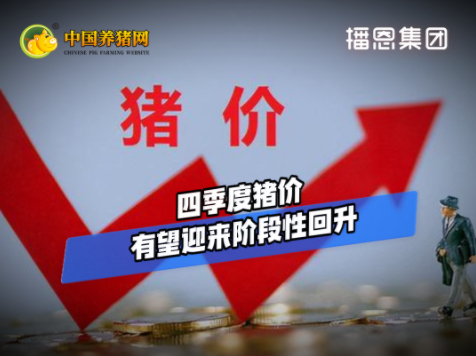 猪价“跳水”跌破10元！“磨底”何时是个头？