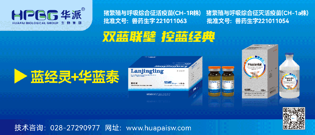 口蹄疫生物安全管控：全场景防控这样做