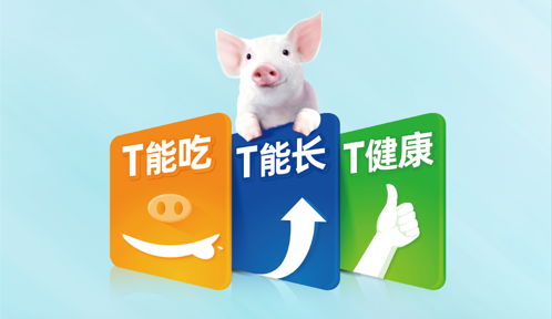 教槽料不用买太好？小猪吃不了几天 浪费钱！看看播恩怎么回应！