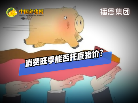 10月28日猪价：持续下跌！拐点在哪？