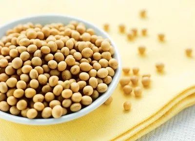 好消息！大豆11月或将上涨！收购热情明显高于去年同期