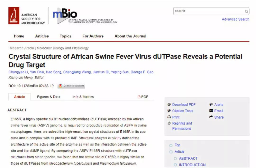 中国科学家通过解析非洲猪瘟焦磷酸酶晶体结构发现潜在的药物治疗靶点