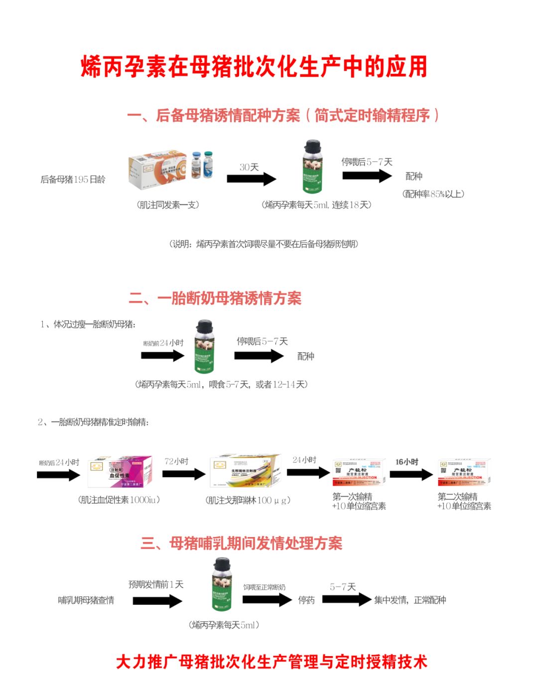 为母猪批次化管理而来——烯丙孕素