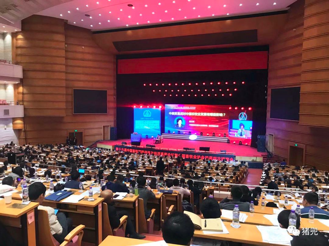 辛国昌：非洲猪瘟防控与恢复生猪生产