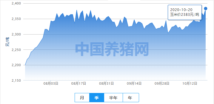 玉米行情短期上涨有限！震荡上涨趋势不变！