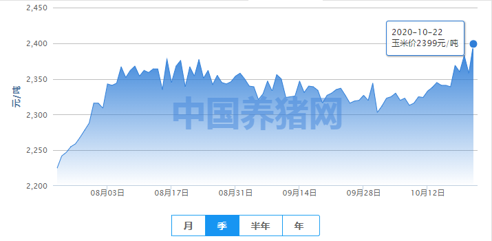 玉米价格即将回落？专家：我国内外投机资本退场！