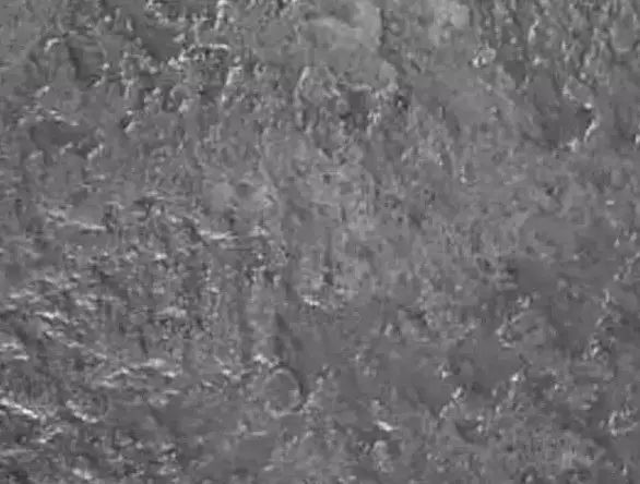 蹄部和腿部的完整、运动问题、脚趾问题是母猪使用年限较短的主要原因！