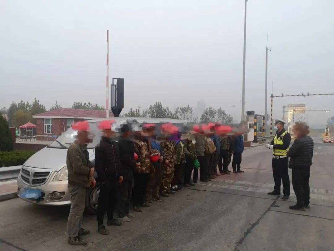 高速上逮猪被咬伤，为了把猪留下狡辩称：这是二姨给的！