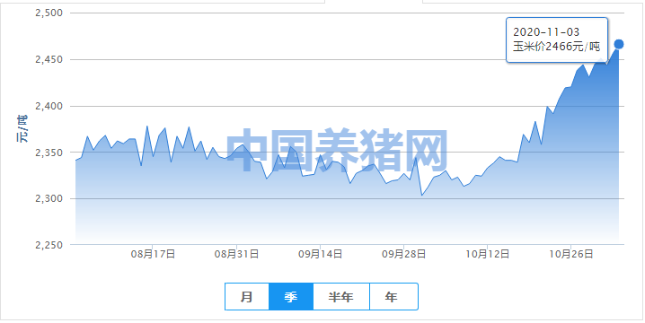 玉米价格上涨明显，或至高位？农户切勿过度囤粮！