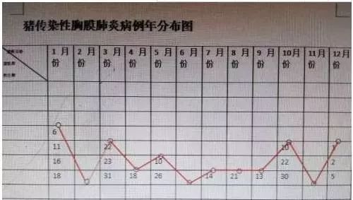 胸膜肺炎的死亡率占整个猪突然死亡率的40%左右