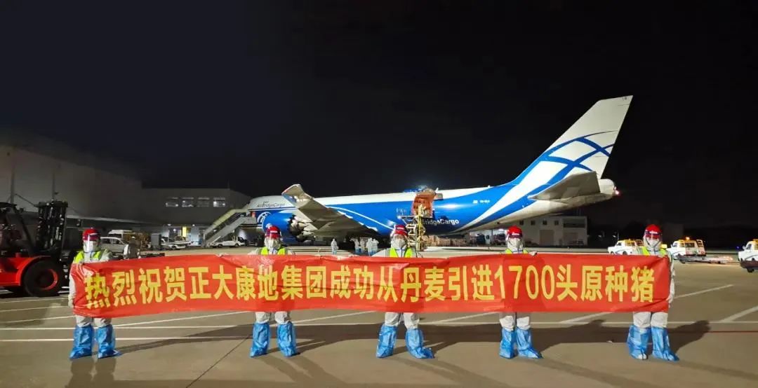 年供1.8万头！4月动土9月验收12月进场！1700头原种猪隔离检疫完成！