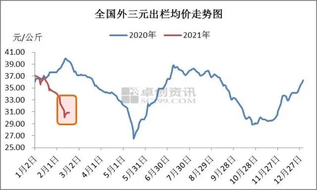 猪价跌宕起伏，今年猪价将……
