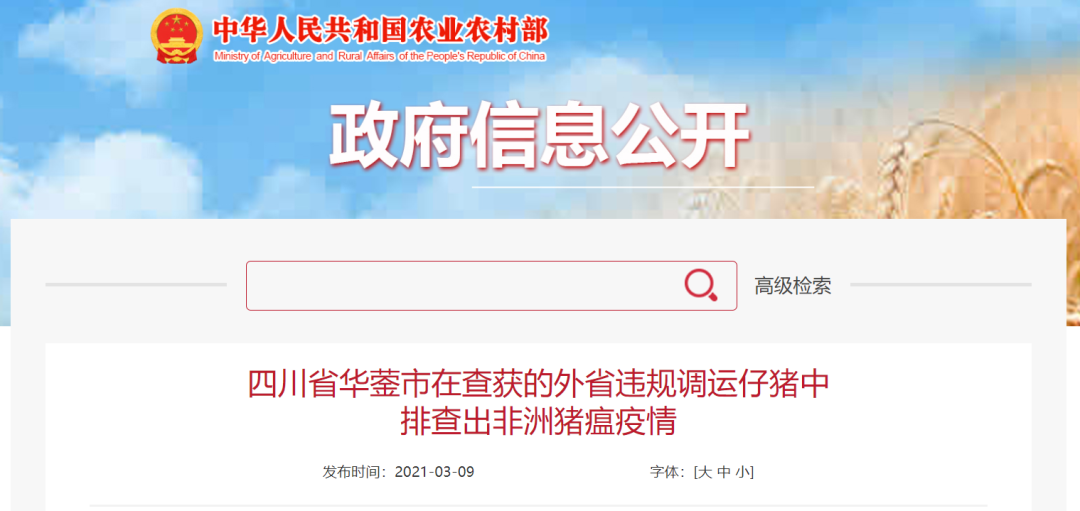 暂停省外生猪调入！四川发布《关于调整完善生猪调运规定的通知》