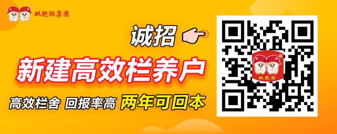 为高效栏舍代言｜从职场到猪场，90后“猪倌”的智慧养猪路