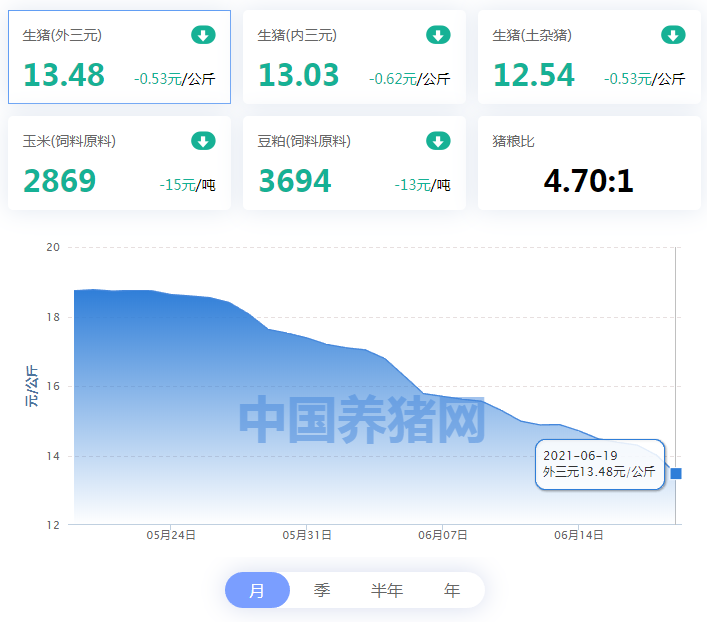 猪价“暴跌”何时休？6元时代或成常态？