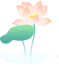 夏季防非及猪场生产要点