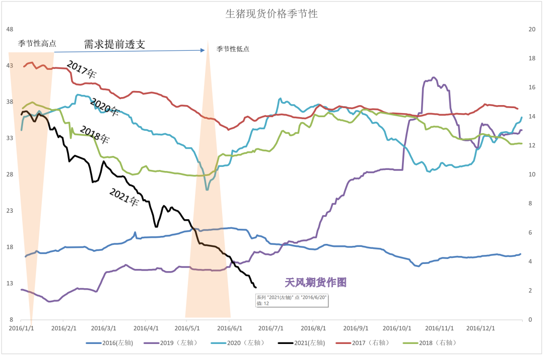 中国养猪网