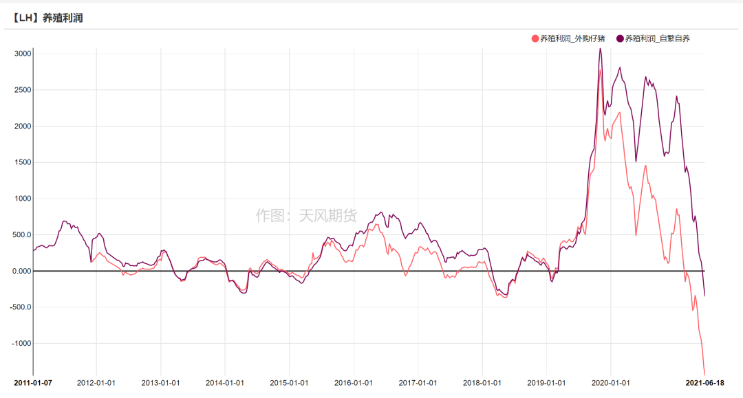 中国养猪网