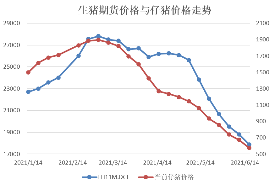 中国养猪网