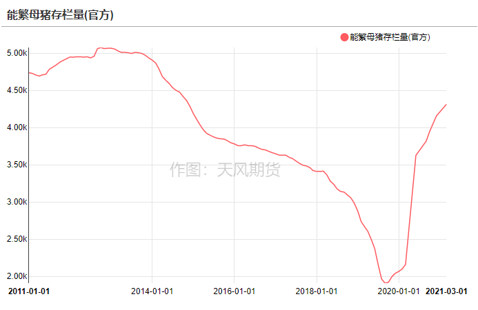 中国养猪网