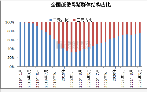 中国养猪网