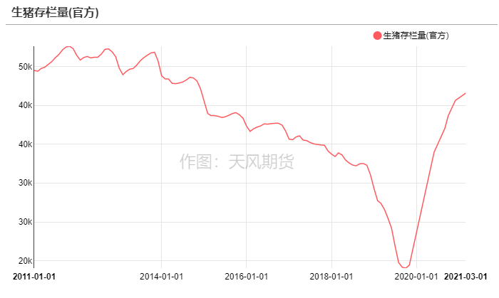 中国养猪网