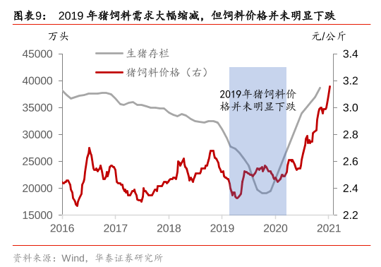 中国养猪网