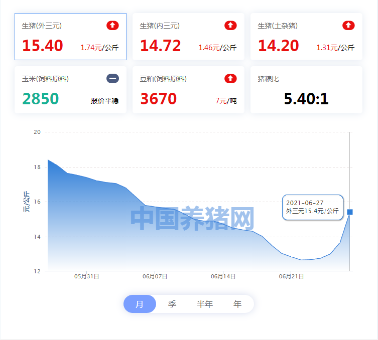 中国养猪网