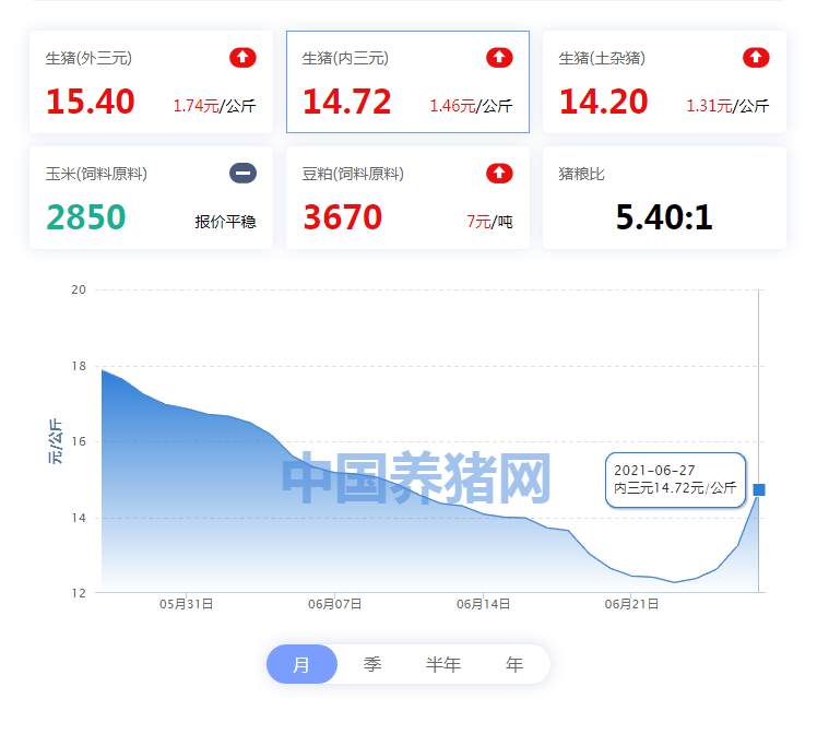 中国养猪网