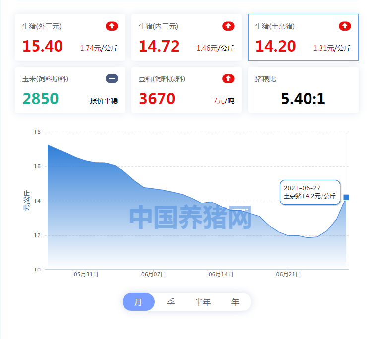 中国养猪网