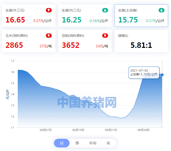 中国养猪网