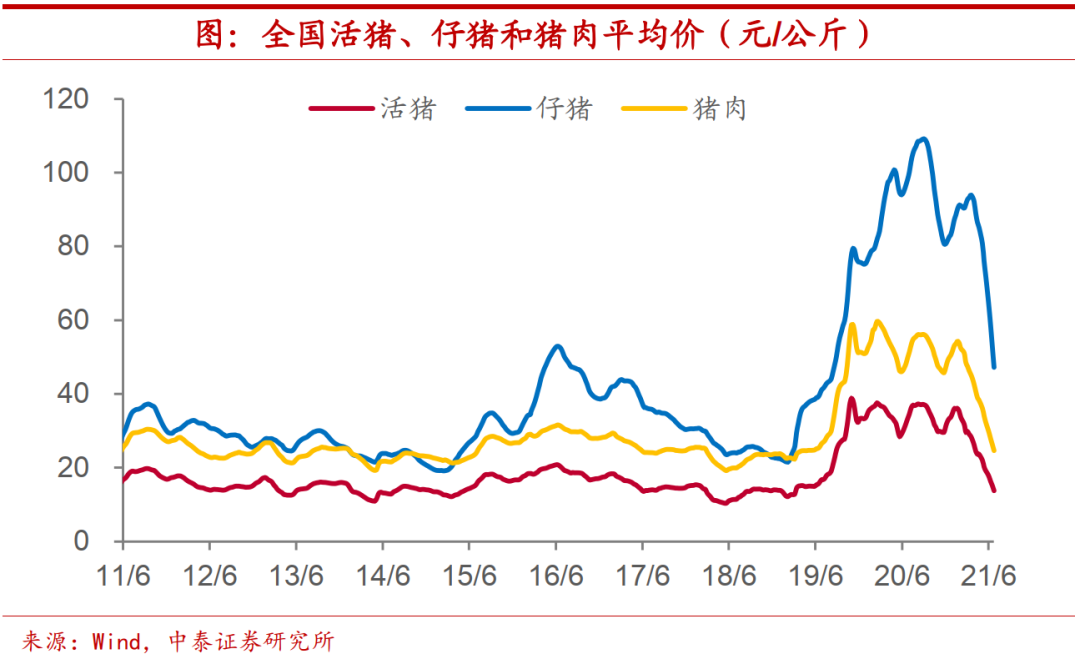 猪价或离拐点不远了！？证券分析师表示四大止跌信号已出现！
