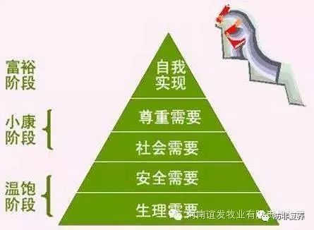 猪场的管理是管人还是管猪？猪场的十个细节管理要注意！