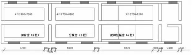 中国养猪网