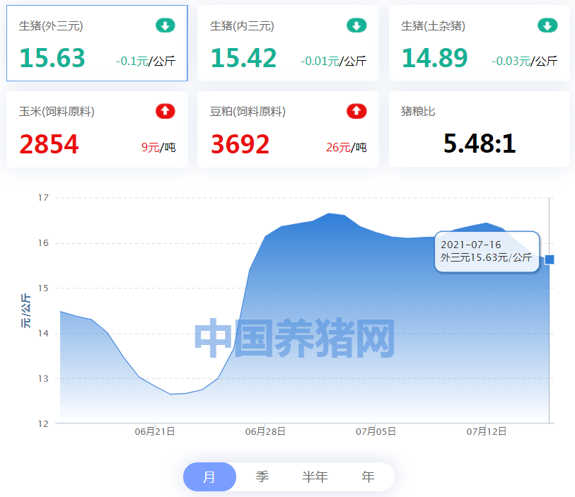 中国养猪网