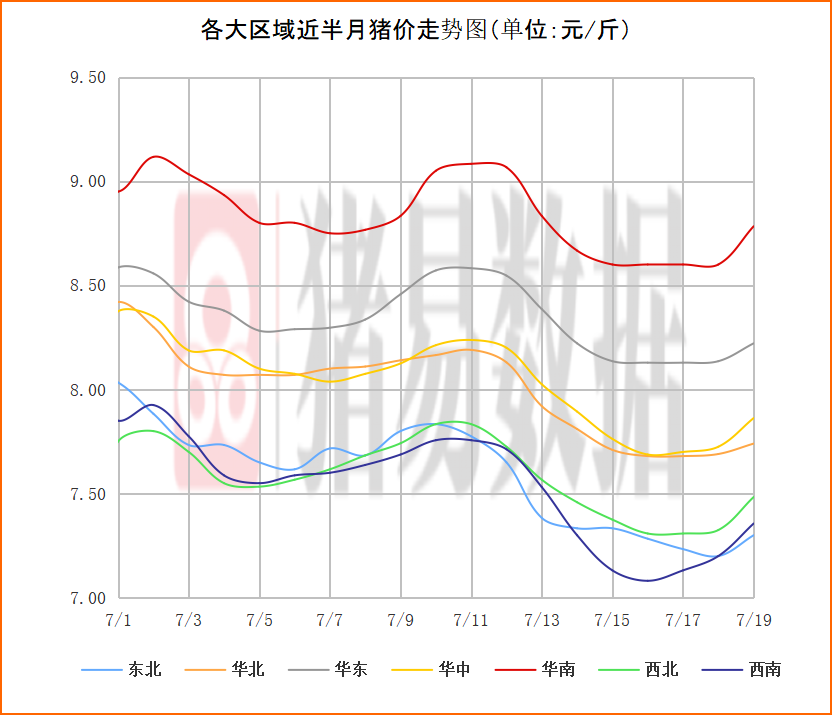 中国养猪网