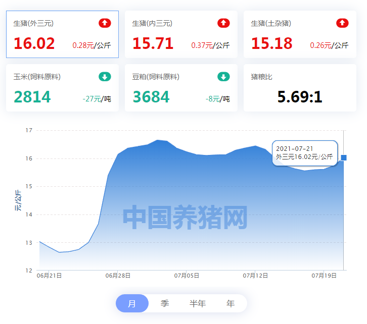 07月21日猪价：全线上涨！官方出手，大涨已成定局？