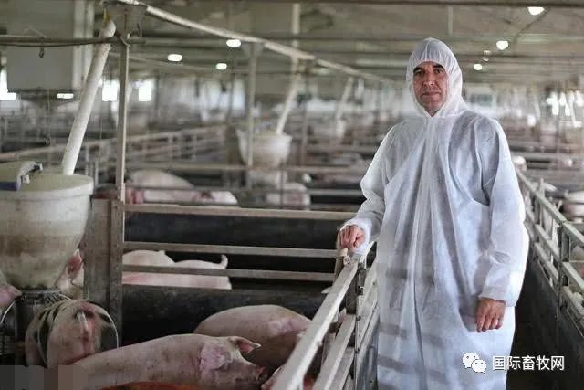 国外需求激增！猪价暴跌后，中国猪肉进口量恐大幅下降50%