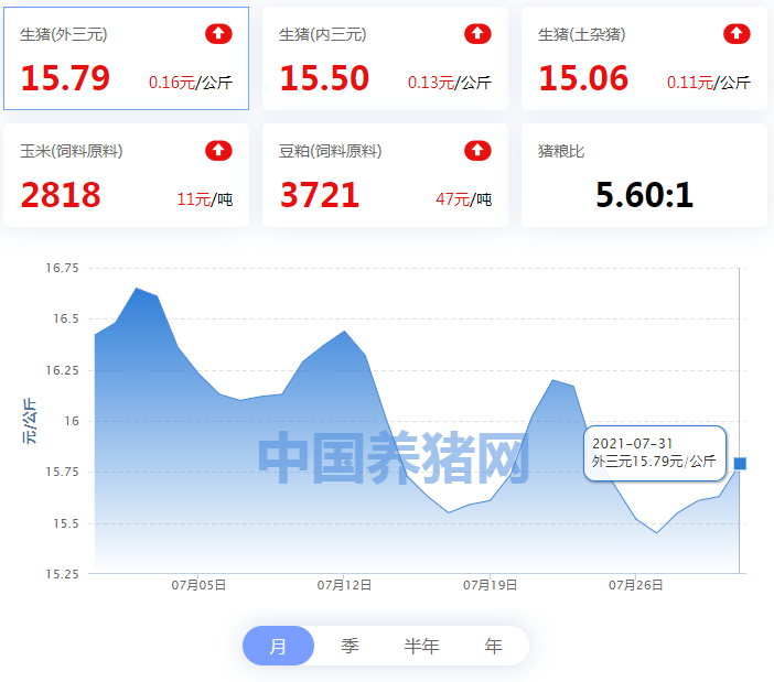 07月31日猪价：多地“飘红”，涨幅扩大，南北地区猪价均涨！